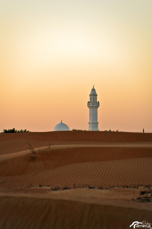 Desert and Minaret